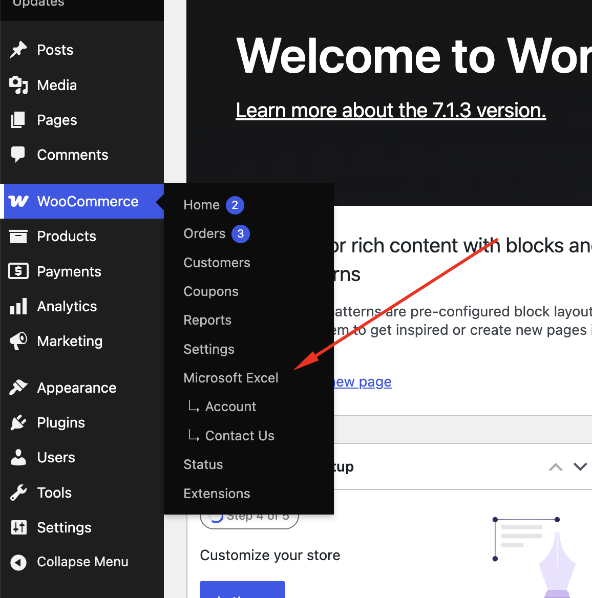 Navigate to WooCommerce Microsoft Excel